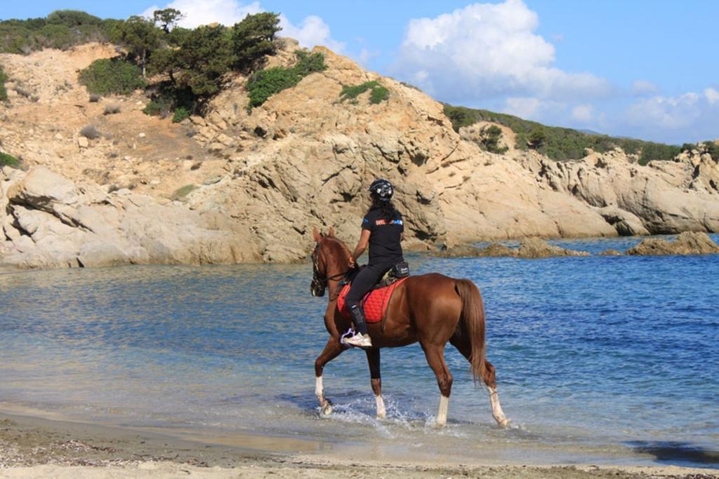 בית הארחה San Priamo 	Agriturismo Sarrabus מראה חיצוני תמונה