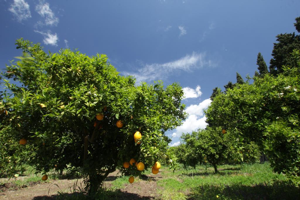 בית הארחה San Priamo 	Agriturismo Sarrabus מראה חיצוני תמונה