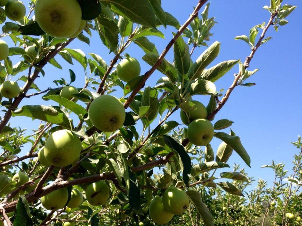 בית הארחה San Priamo 	Agriturismo Sarrabus מראה חיצוני תמונה