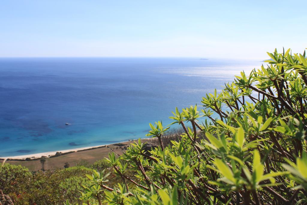 בית הארחה San Priamo 	Agriturismo Sarrabus מראה חיצוני תמונה